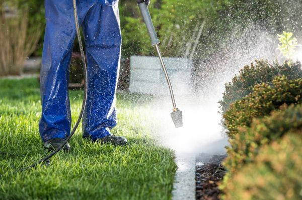 Cost of Curb Cleaning in College Station