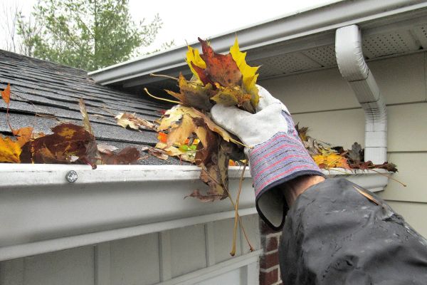 Cost of Eaves Cleaning in College Station
